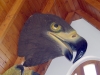 Resize-of-_IGP5582
