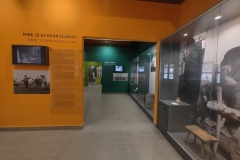 IMG_20231123_115427113