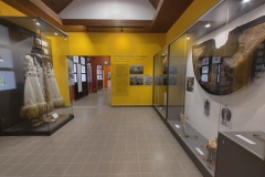 IMG_20231123_115554427