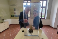 IMG_20240328_135311378