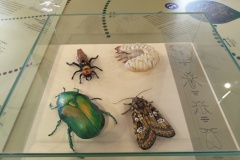 IMG_20240328_140317589