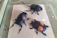 IMG_20240328_140345790