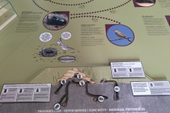 IMG_20240328_140352546