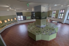 IMG_20240328_140509360