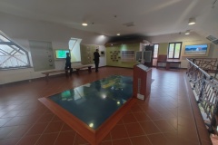 IMG_20240328_140532777