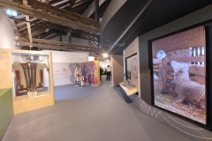 IMG_20240328_120511212