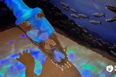 433653018_821218686713100_3964590287632192811_n