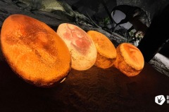 433672521_821218503379785_7887330696057098220_n