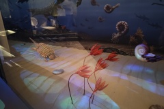 IMG_20240429_115349512