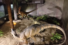 IMG_20240429_115641793