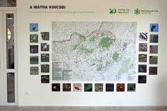 Natura 2000 jelölőfajok.