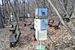 A 2-3 és 4 osztatú forgatós játékok megfejtése még felnőtteknek is kihívást jelent.