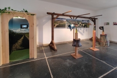 IMG_20230610_170209223